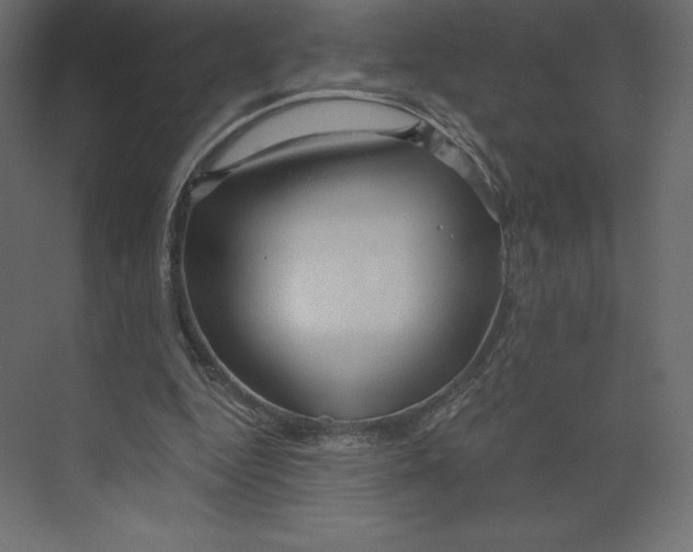 X0000073390344200608181009