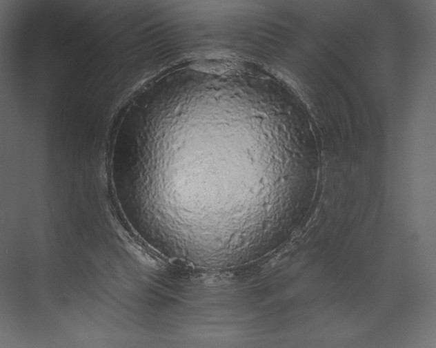 X0000073390345200608181009
