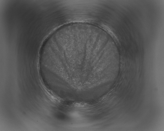 X0000073390346200608181009