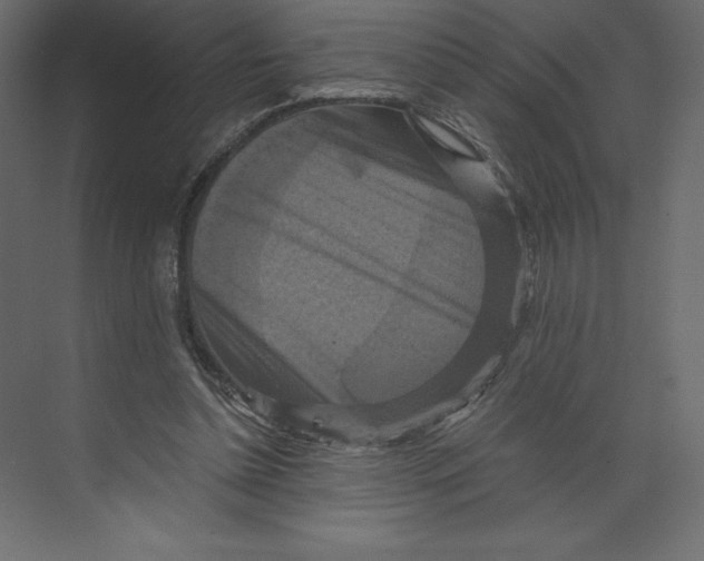 X0000073390348200608181009
