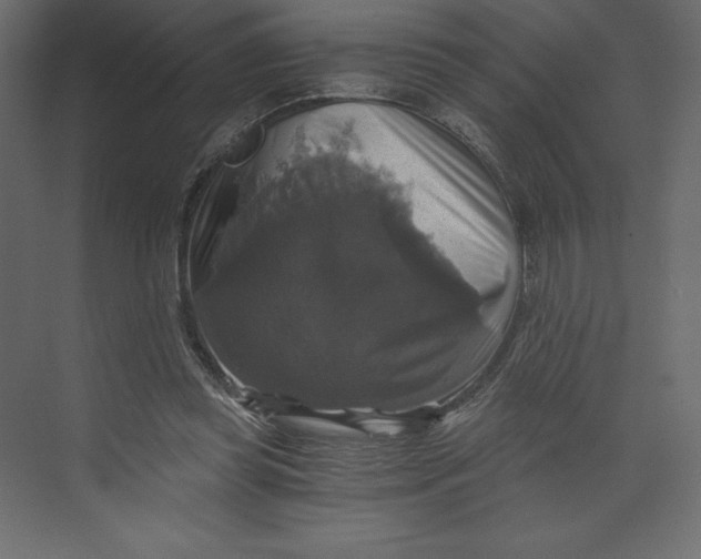 X0000073390349200608181009