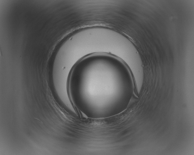 X0000073390350200608181009