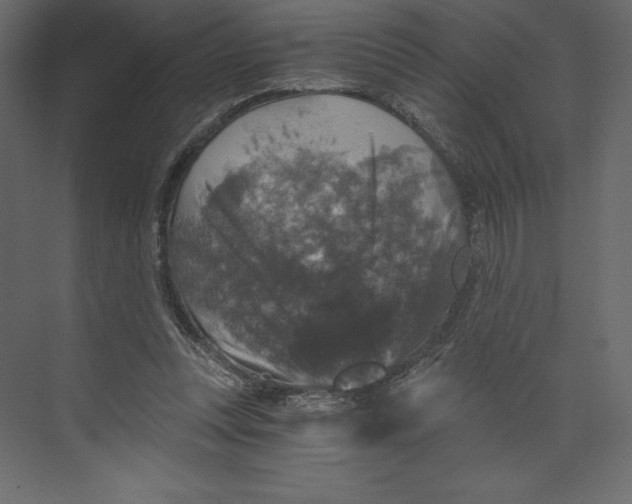 X0000073390351200608181009
