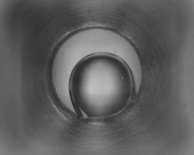 X0000073390352200608181009