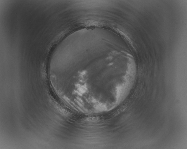X0000073390353200608181009