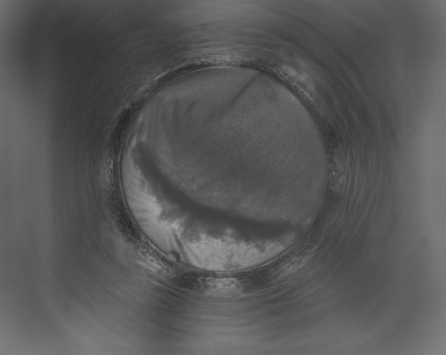 X0000073390355200608181009