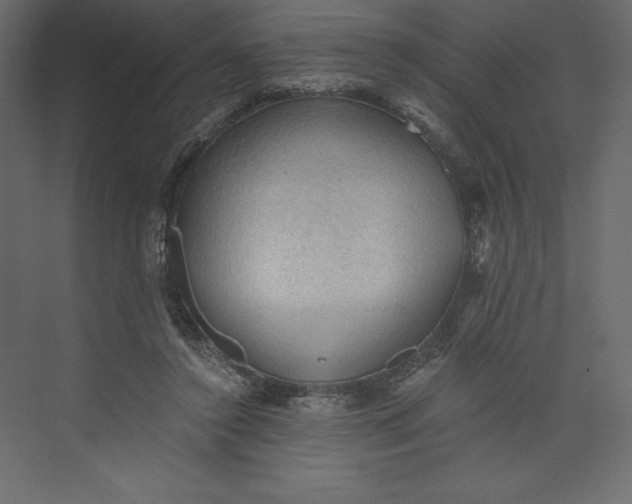 X0000073390356200608181009