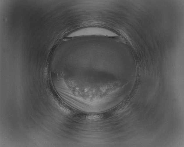 X0000073390357200608181009