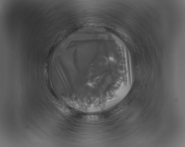 X0000073390361200608181009
