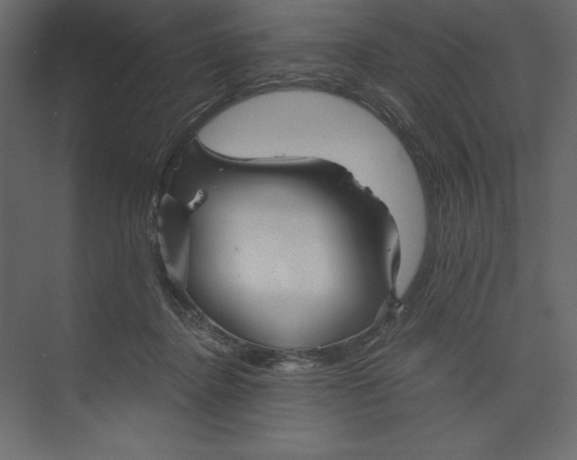 X0000073390364200608181009