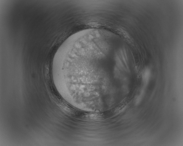 X0000073390365200608181009