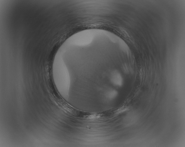 X0000073390366200608181009