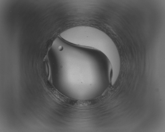 X0000073390368200608181009