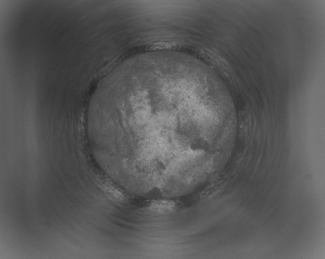 X0000073390369200608181009