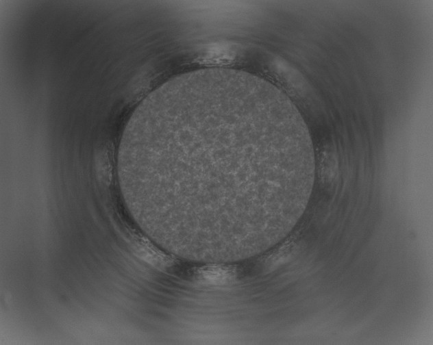 X0000073390370200608181009