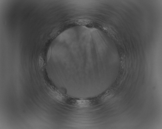 X0000073390371200608181009