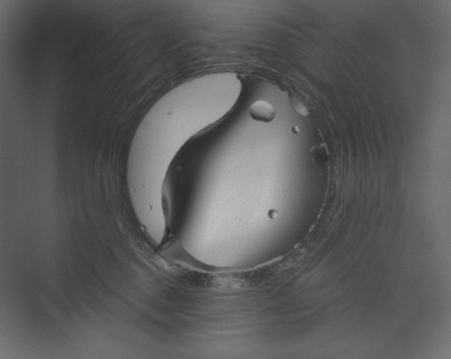 X0000073390376200608181010