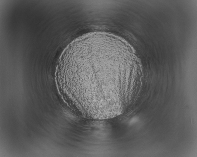 X0000073390377200608181010