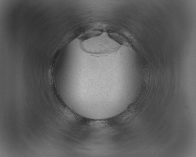 X0000073390378200608181010
