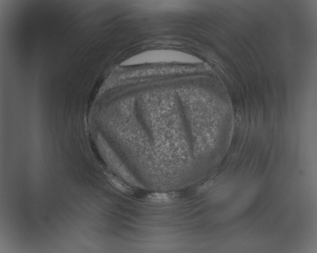X0000073390381200608181010