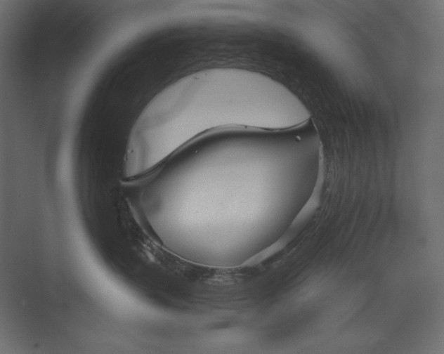 X0000073390383200608181010
