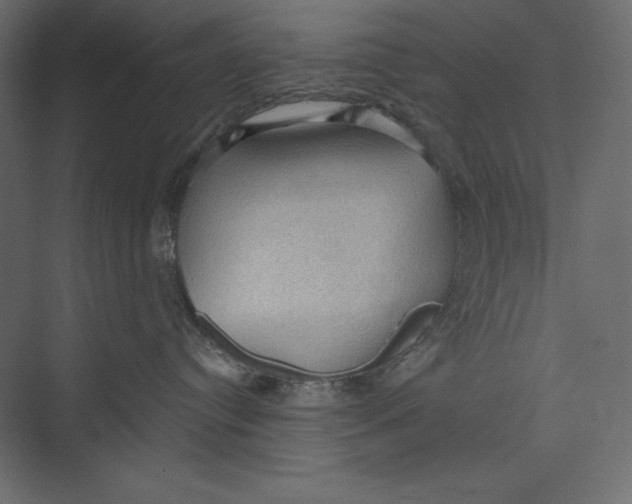 X0000073390384200608181010