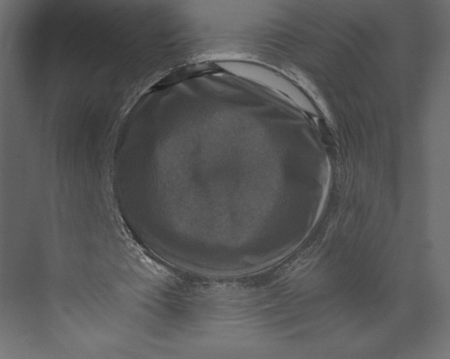X0000073390385200608181009