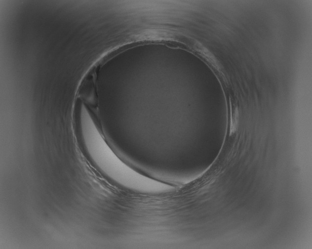 X0000073390387200608181009