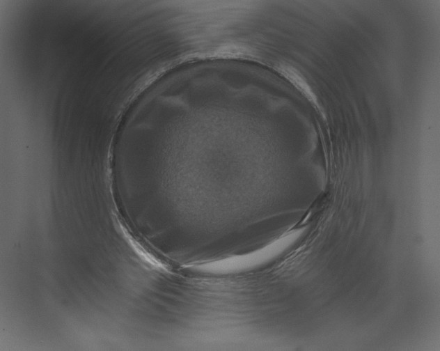 X0000073390389200608181009