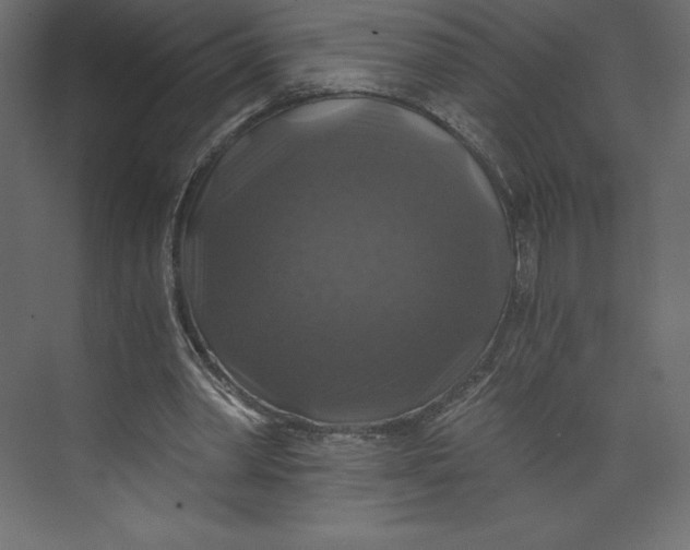 X0000073390390200608181009