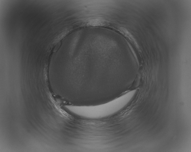 X0000073390393200608181009