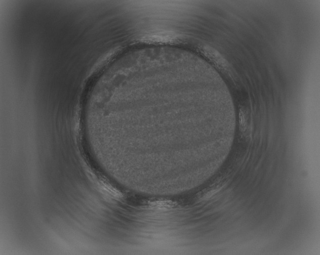 X0000073390396200608181009