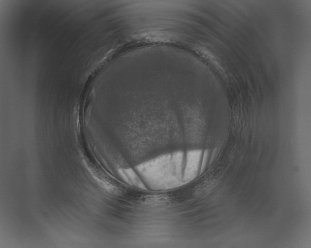X0000073390398200608181009