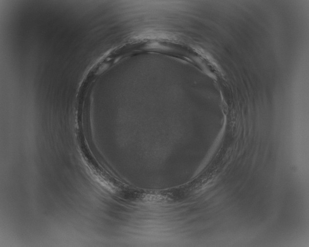 X0000073390399200608181009