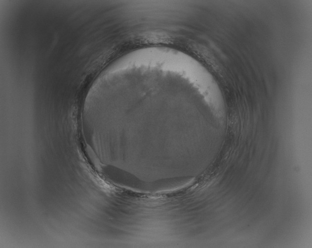 X0000073390402200608181009