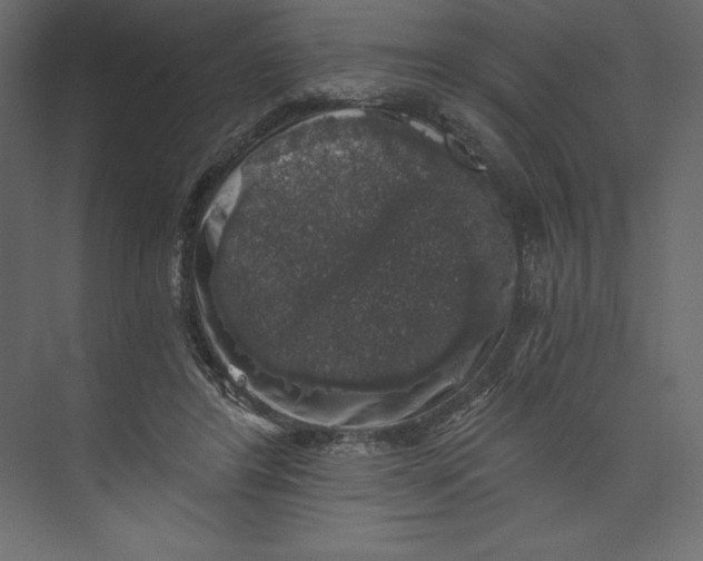 X0000073390404200608181009