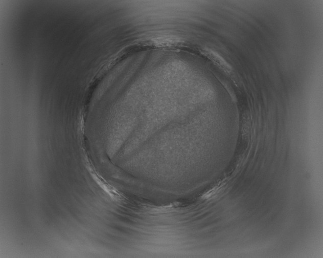 X0000073390405200608181009