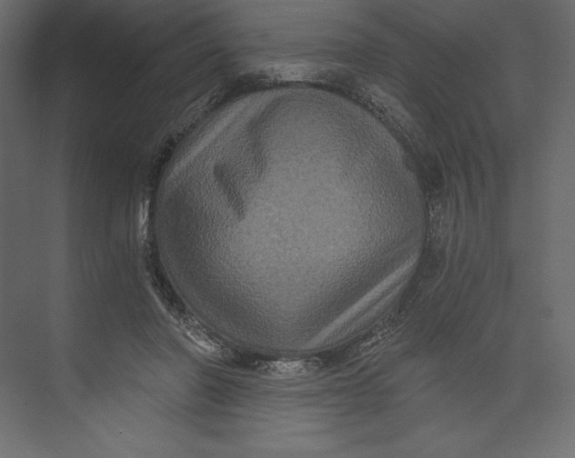 X0000073390406200608181008