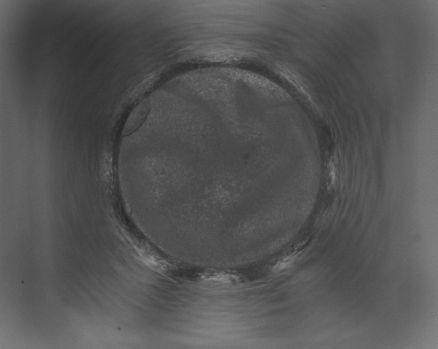 X0000073390407200608181008