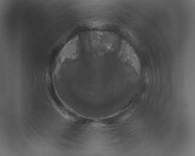 X0000073390408200608181008