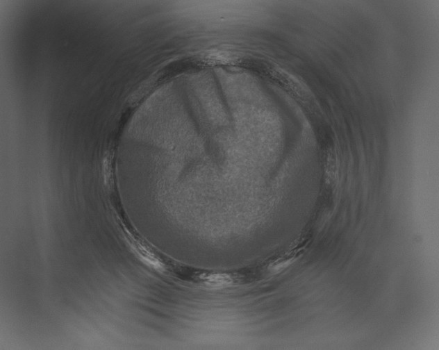 X0000073390409200608181008