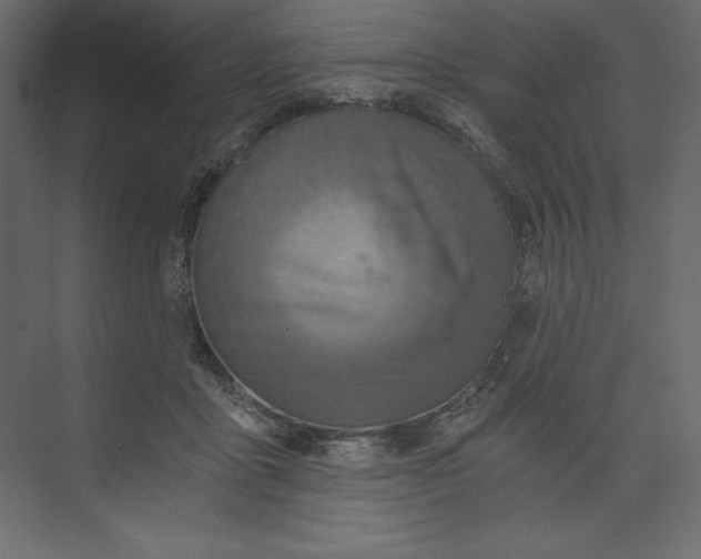 X0000073390411200608181008