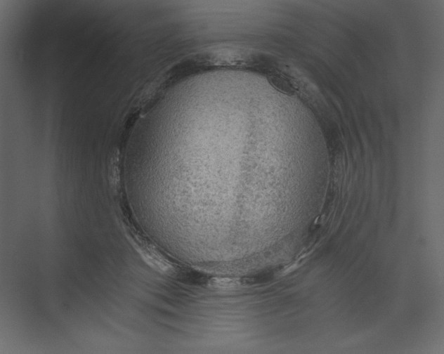 X0000073390413200608181008