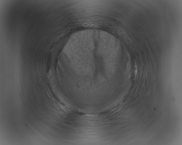 X0000073390416200608181008