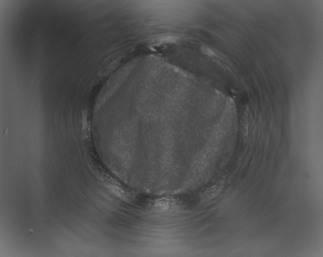 X0000073390420200608181008