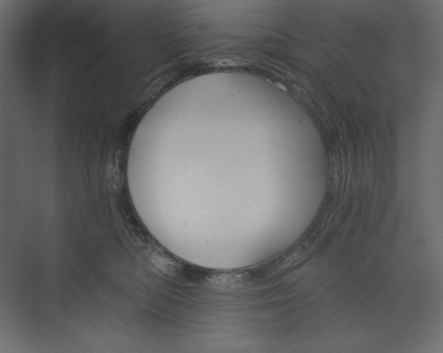 X0000073390422200608181008