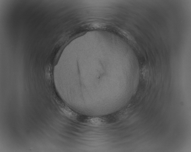 X0000073390423200608181008