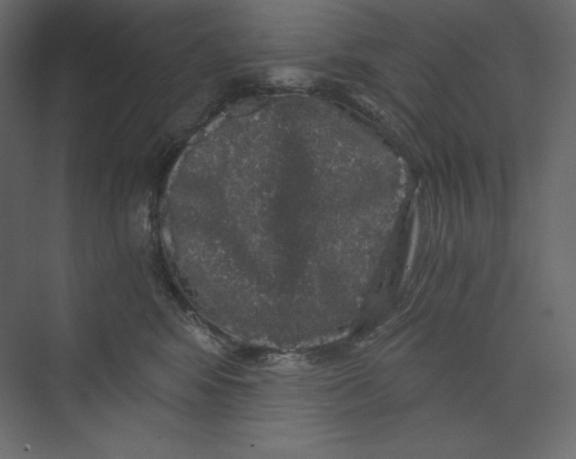X0000073390424200608181008