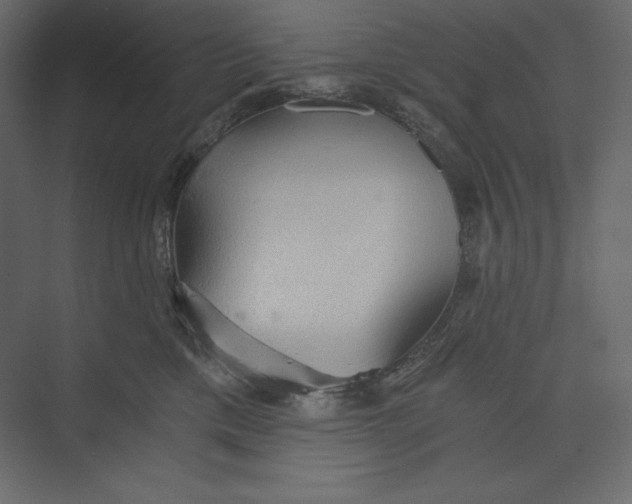 X0000073390425200608181008