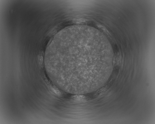X0000073390427200608181008